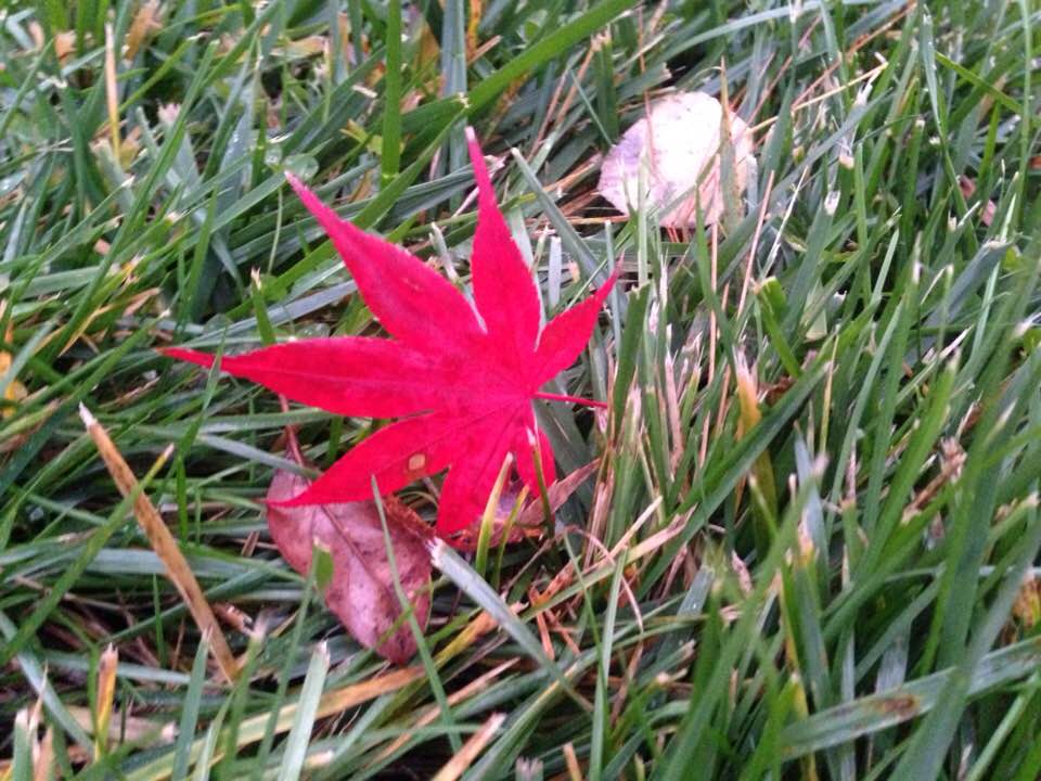 From Photograph To&nbsp;Drawing