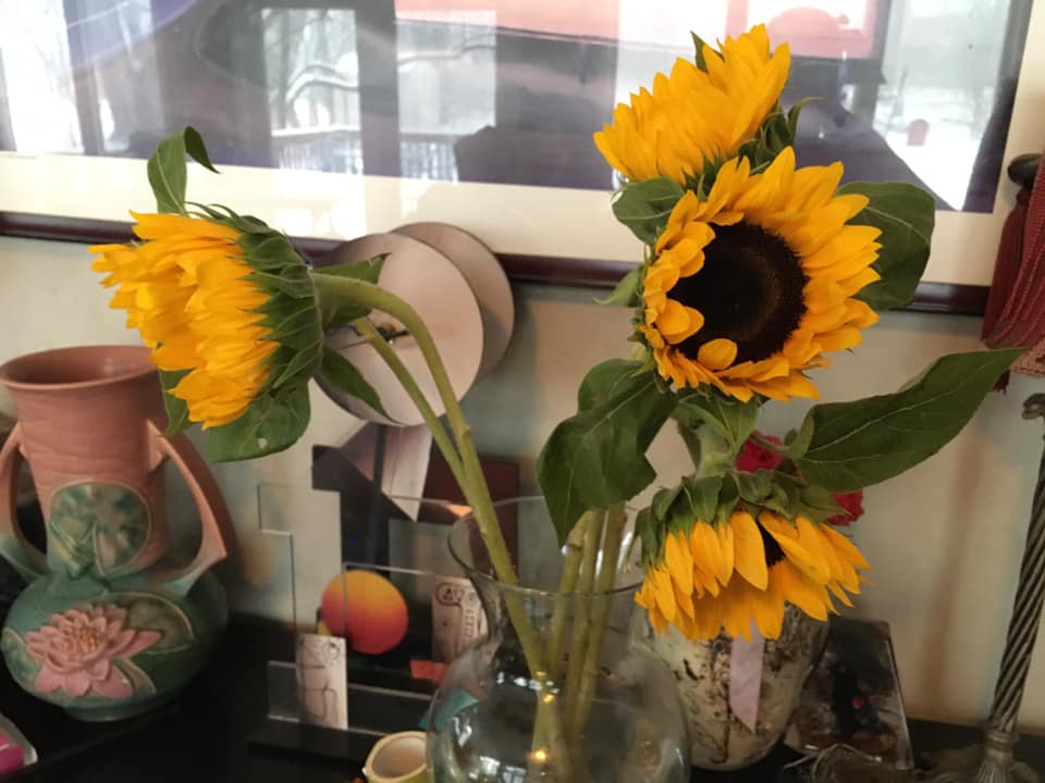 Quarantined, Trying Not To Feel&nbsp;Bored