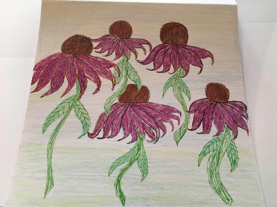 Dancing Cone Flowers