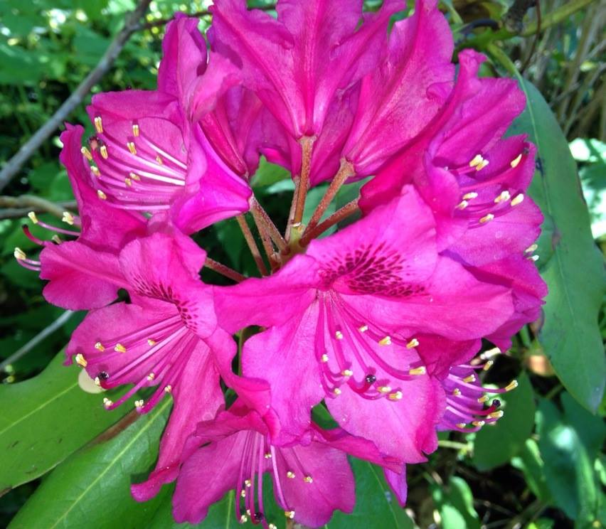 Things To Do During&nbsp;Quarantine