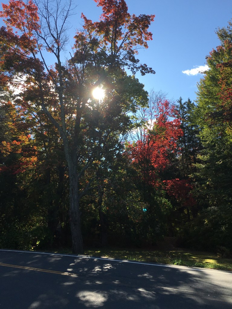 Autumn 2020, A Work Of&nbsp;Art