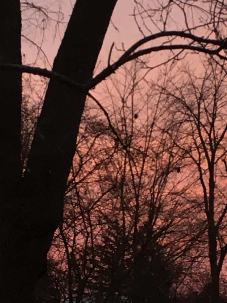 Goodbye 2021, Hello&nbsp;2022